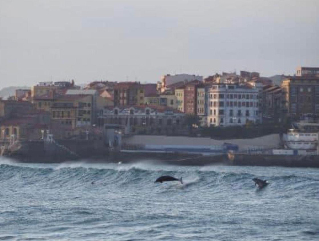 Alojamientos Muelle De Gijón Exteriér fotografie